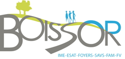 BOISSOR DOMAINE logo